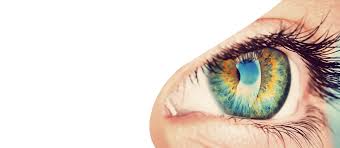 Premium Eye Care Plan